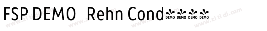 FSP DEMO   Rehn Cond字体转换